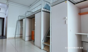 南大新传考研机构综合实力与用户口碑深度解析