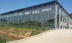 江苏家用阳光棚养殖笼靠谱商家测评排名，用料扎实价格公道不玩套路