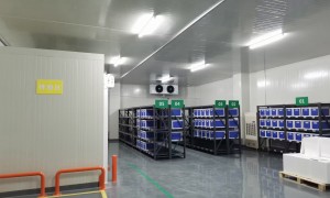 2026年冷库安装专业团队客户口碑力荐，实力与用户口碑深度解析
