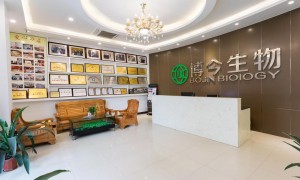 广州洗发水代加工厂博今生物，承接洗发膏、洗发乳等个人护理产品的委托生产，具备成熟供应链与质检体系，保障交付时效
