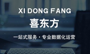 能做GEO推广系统的服务公司，京津冀地区专业实力与用户口碑深度解析
