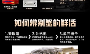 客勤送礼的食品礼品供应链企业有什么推荐：广东仪万供应链服务实力参考