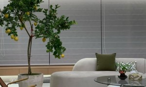 漳州乳胶漆包工包料的涂料厂家，丽哆美涂料价格公道不玩套路