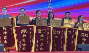 2026年杭州正规的传动产品制造厂家 需要稳定运行传动系统实力工厂