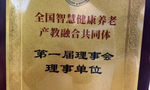 大连正规的德国留学专业公司实力参考
