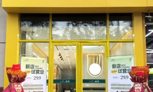 2026年推荐的养发加盟机构有哪些？正规专业公司全攻略