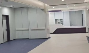 河北彩石地坪生产厂家企业全景分析，2026年行业现状