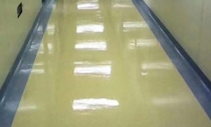 沧州知名的彩石地坪生产厂家实力公司推荐