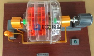 医学人体解剖模型生产商 高仿真硅胶材质 教学实训模型 支持定制底座