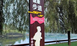 许昌知名的医院标识企业实力与用户口碑