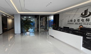 云南金菱电梯 禄丰货运电梯品牌商 自有维保团队24小时抢修