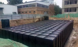 2026年热门的能兼顾供水排水的地埋箱泵一体化厂家，化工园区用户力荐