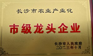 宁乡腌菜工厂饭堂承包合作，武叔加工厂实力与用户口碑深度解析