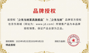 少年与树儿童环保家具，可拆卸儿童床带护栏，3-12岁孩子适用更安全