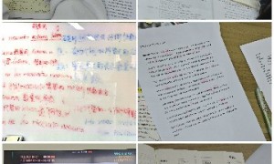 上海显金科技上外校区实践语言培训学院口碑好的法语课程推荐