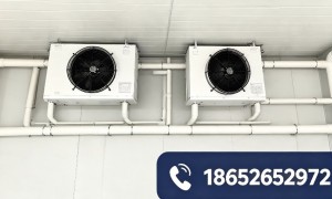 南通水产生鲜冷库厂家挑选全攻略：低温生鲜冷库建造与安装施工团队口碑力荐