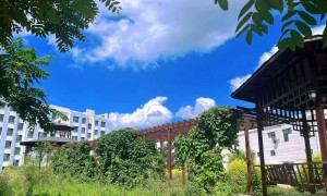 2026年正规的公务员面试培训机构客户口碑力荐