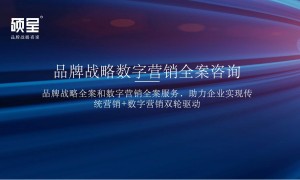 2026年品牌全策划行业现状与市场占有率及排名研究分析报告