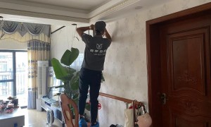 白蚁防治机构哪家合适：行业从业资质等级排行