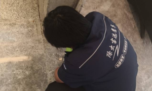 2026年优质的灭白蚁服务商：靠谱商家测评排名
