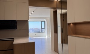 乌鲁木齐市沙依巴克区不踩坑的高级木作全屋定制公司推荐，致野美学空间装饰服务商家测评排名