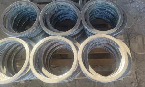 止水环源头生产厂家2026年实力与用户口碑盘点