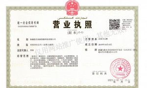 乌鲁木齐专业沙盘模型设计制作厂家实力与用户口碑深度解析
