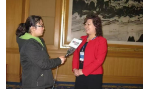 我想找有全国冠军红娘团队的婚介推荐哪家，靠谱商家测评排名与选择指南
