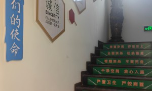2026年口碑好的洁馨消杀服务的效果在复合药剂使用下如何、洁馨消杀服务的效果对环境有影响吗、洁馨消杀服务的效果在不同场景下表现如何服务商合作实力参考