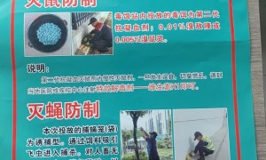 七里河上门灭老鼠找哪家公司？洁馨环境正规服务商用户力荐