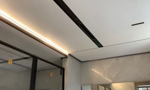 漳州口碑不错的集成吊顶品牌企业有哪些？挑选全攻略与实力参考