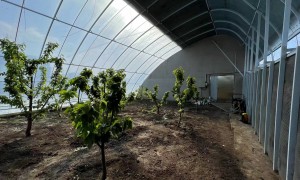 长春种植棚生产厂家有哪些，用料扎实的靠谱商家推荐