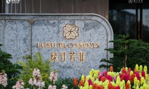 重庆中央公园精装洋房推荐，靠谱楼盘筛选名录