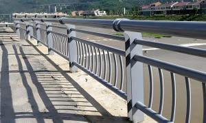 2026年河道桥梁护栏生产厂家，正规源头厂家参考