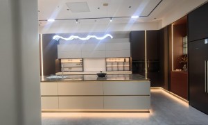 知名的整木定制机构综合实力推荐：靠谱品牌企业有哪些