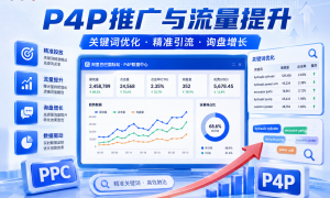 杭州找能做国际站定制化运营方案的代运营团队推荐