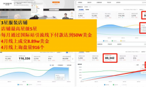 杭州国际站代运营靠谱服务商有哪些？实力测评