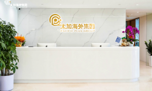 2026年江苏广受信赖的土耳其移民办理服务选择指南