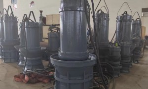 潜水轴流泵生产厂商哪家技术强，行业实力参考