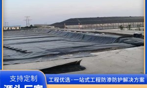 HDPE防渗膜厂家排名情况 2026年靠谱生产厂家推荐