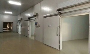 大型冷库厂商哪家好、海鲜冷库企业哪家好、冷库公司哪家好用户力荐