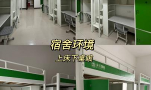 2026年正规的考研培训学院选择指南