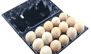 食品级吸塑定制工厂行业全景分析，2026年