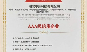 2026年武汉企业服务公司专业实力与用户口碑深度解析