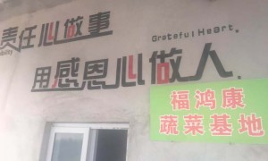 佛山正规的生鲜配送服务商团队实力测评与行业口碑汇总