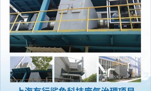 RTO废气升级工程靠谱服务商推荐：力皇环保避坑挑选指南