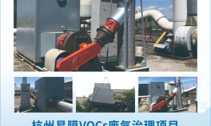 vocs废气治理一站式方案服务商 团队实力测评