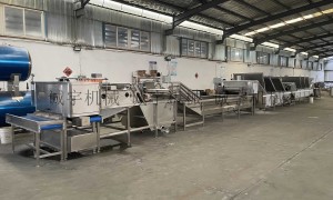 2026年鸡蛋加工蒸煮机械设备生产厂家实力参考