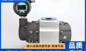 2026年不错的罗茨流量计工厂、数字式罗茨流量计、罗茨流量计专业供应商实力参考