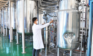 廊坊知名的河北沧州茶园复合微生物菌剂生产厂家推荐，兴业生物优选